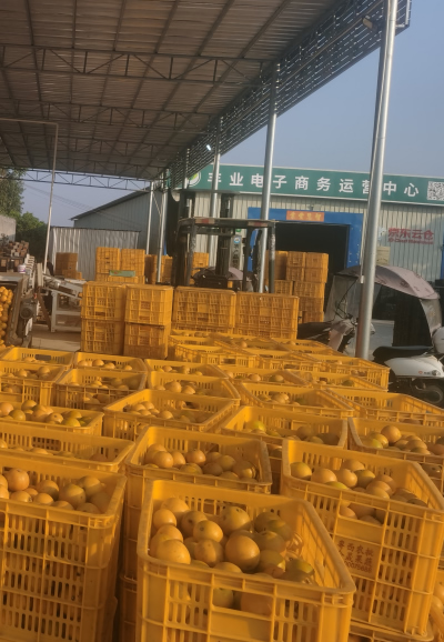 蓝粤网农业农村